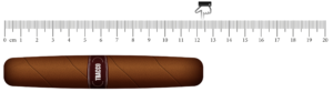 hoyo de monterrey epicure no. 2